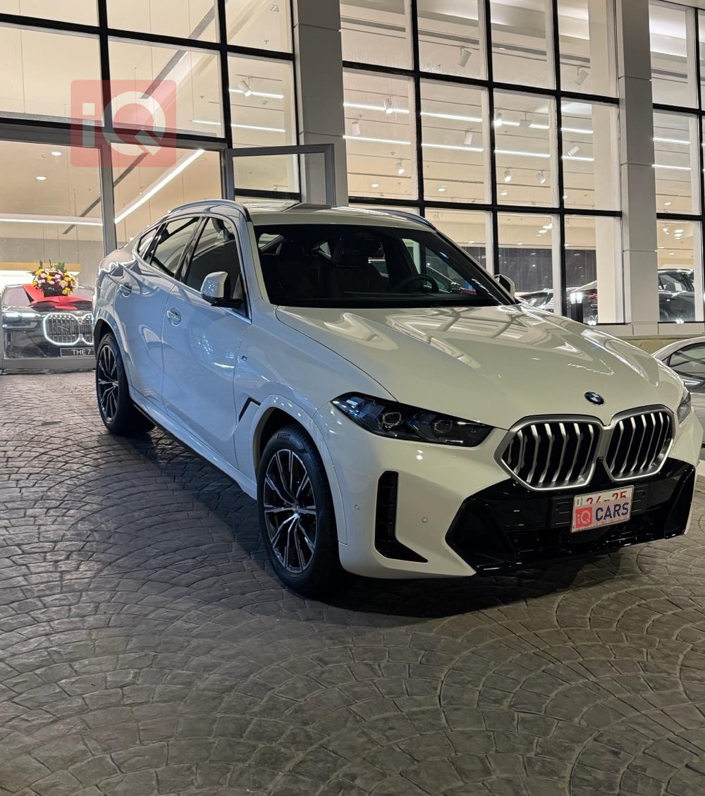 بي ام دبليو X6